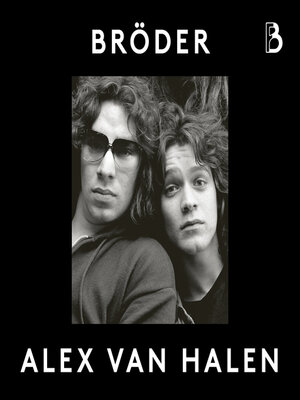 cover image of Bröder